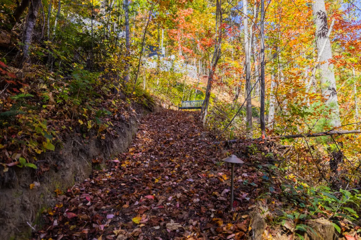 Private, natural trail leading from our cabin to the lake - about 300ft. It's a great workout!